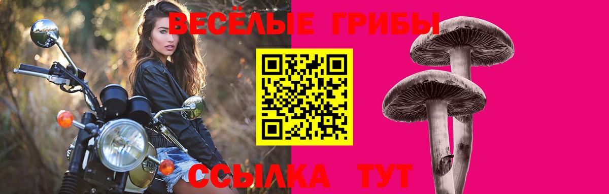 Балахна  Псилоцибиновые грибы прущие грибы  Вход с VPN 